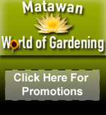 Matawan Gardening